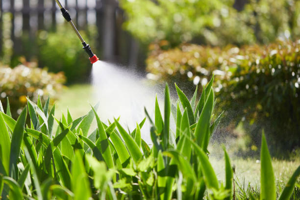 24/7 Emergency Termite Control experts in Cheraw, SC
